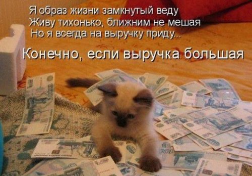 Юмор, позитивчик :)