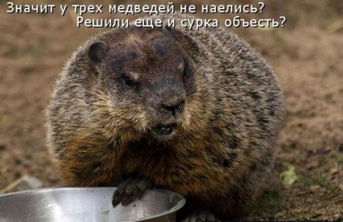 Юмор, позитивчик :)