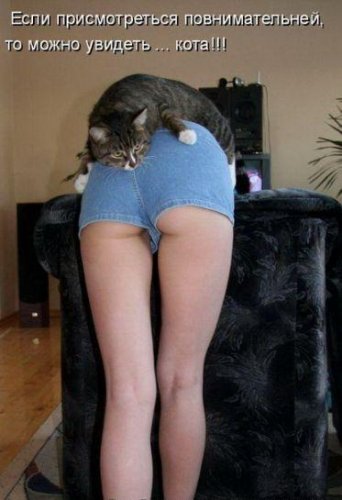 Юмор, позитивчик :)