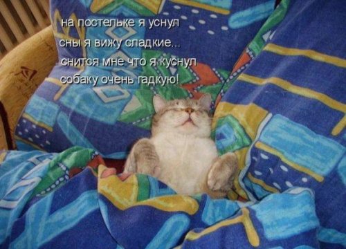 Юмор, позитивчик :)