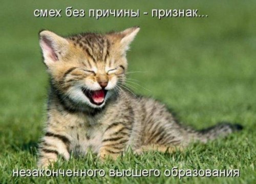 Юмор, позитивчик :)