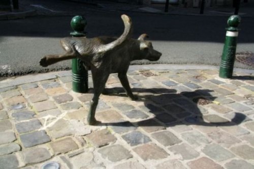 Юмор, позитивчик :)