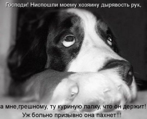 Юмор, позитивчик :)