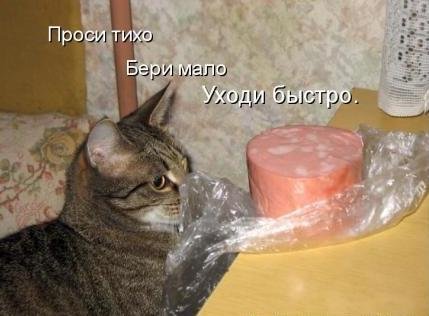 Животинки...