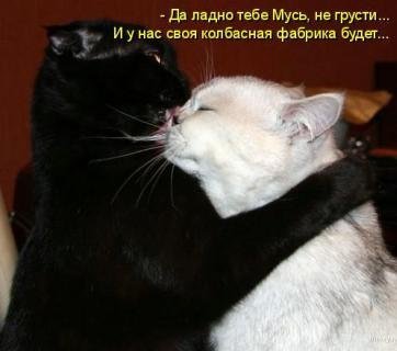 Животинки...