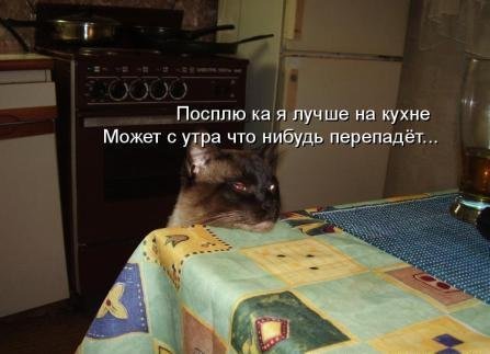 Животинки...