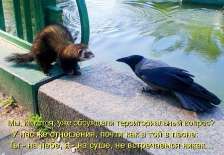 Животинки...