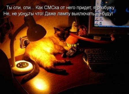 Животинки...