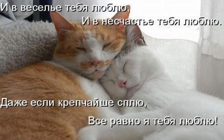 Животинки...