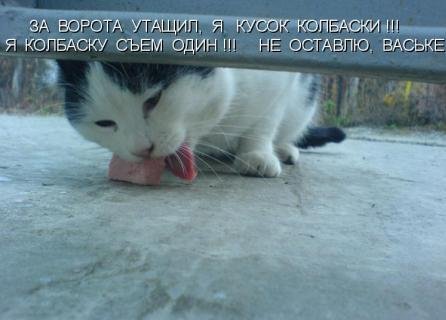 Животинки...