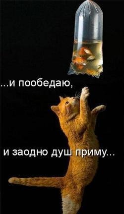 Животинки...