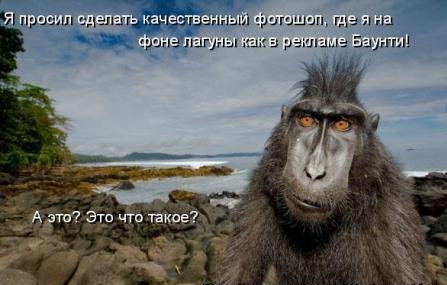 Животинки...