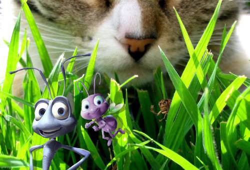 Мультяшки в реальном мире