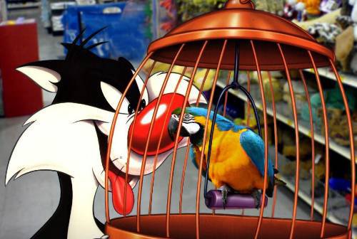 Мультяшки в реальном мире