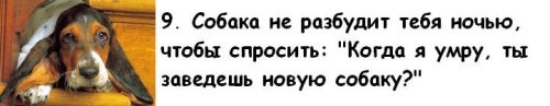 Почему мужчины предпочитают завести собаку, а не жену