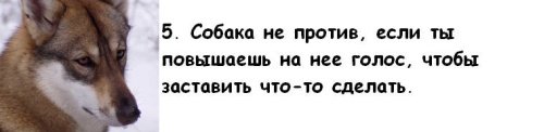 Почему мужчины предпочитают завести собаку, а не жену