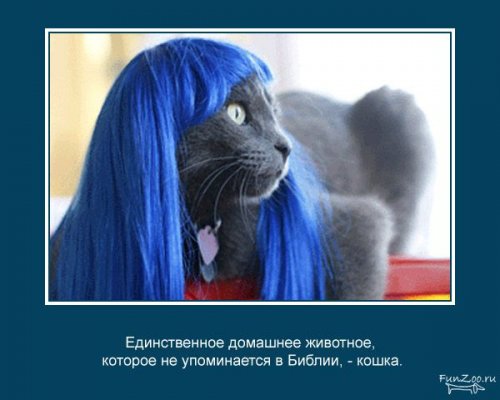 Факты о животных