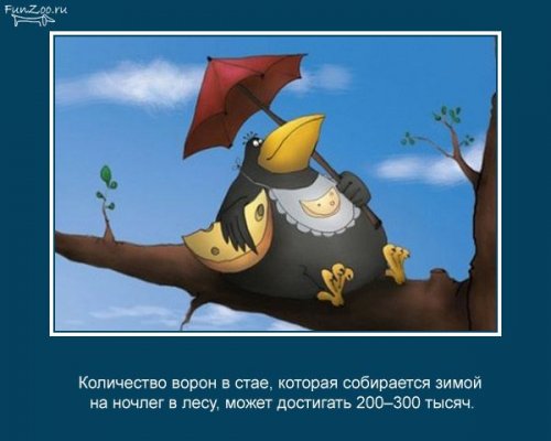 Факты о животных