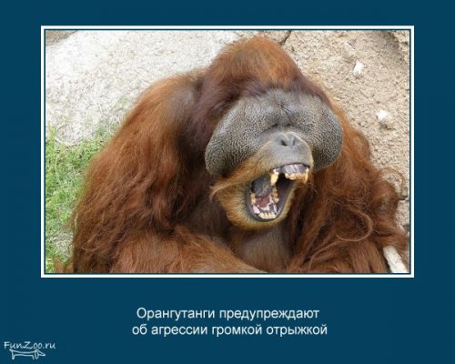 Факты о животных