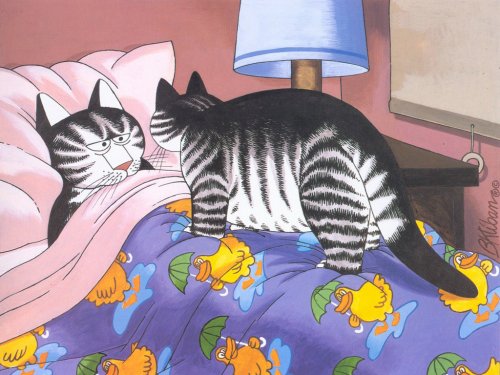 Bernard Kliban. Cat Dreams