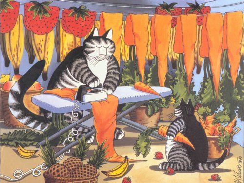 Bernard Kliban. Cat Dreams