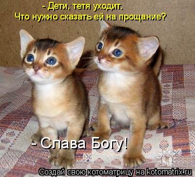 Лучшие котоматрицы…