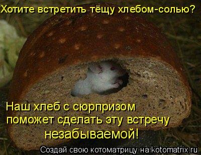 Лучшие котоматрицы…