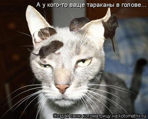 Лучшие котоматрицы…