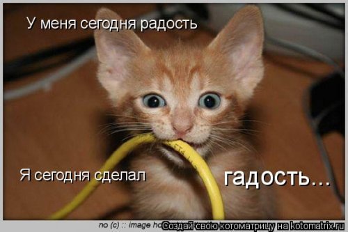 Лучшие котоматрицы…