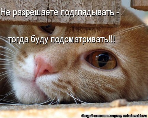 Лучшие котоматрицы…