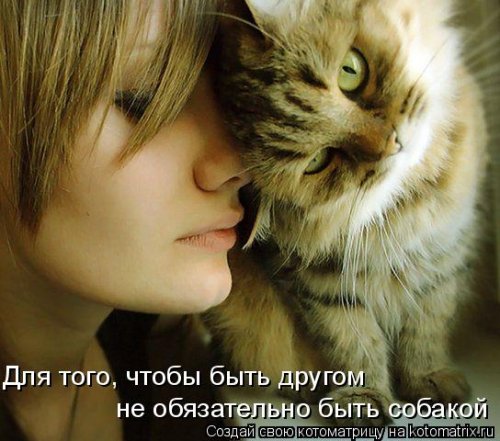 Лучшие котоматрицы…