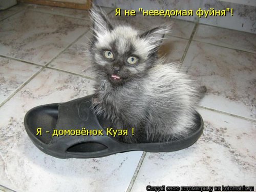 Лучшие котоматрицы…