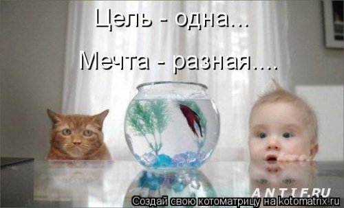 Лучшие котоматрицы…