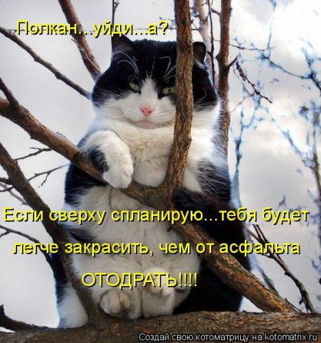 Лучшие котоматрицы…