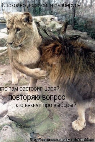 Лучшие котоматрицы…