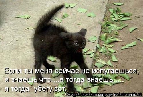 Лучшие котоматрицы…