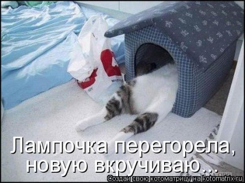 Лучшие котоматрицы…