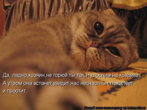 Лучшие котоматрицы…