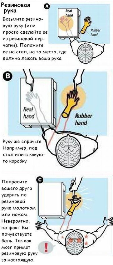 Как можно обмануть свой мозг