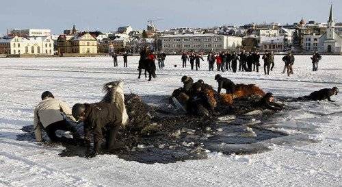 Ледовое побоище