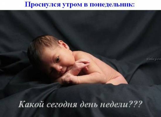 Понедельник !!!
