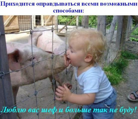 Понедельник !!!