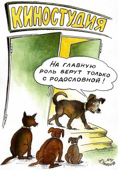 Прикольные карикатуры