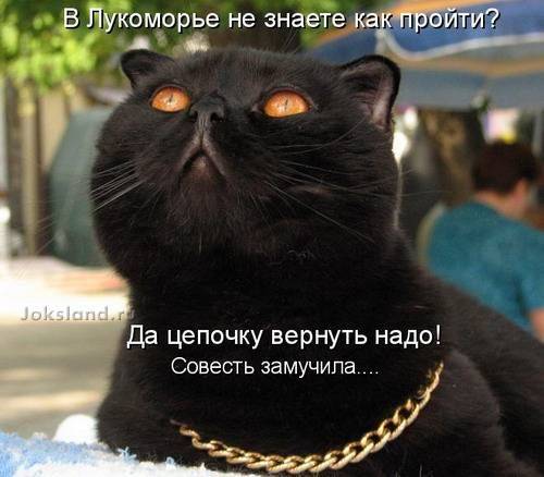 Немного посмеемся ?!