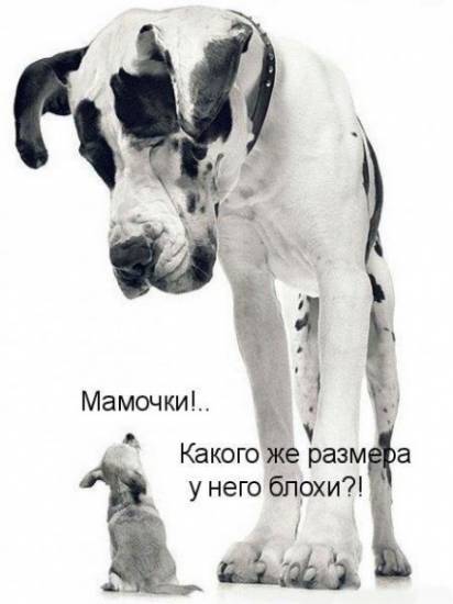 Посмеёмся?