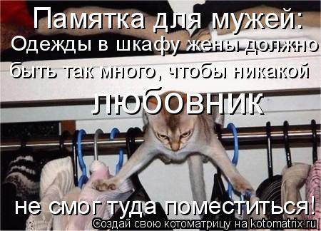 Еще котоматричные коты