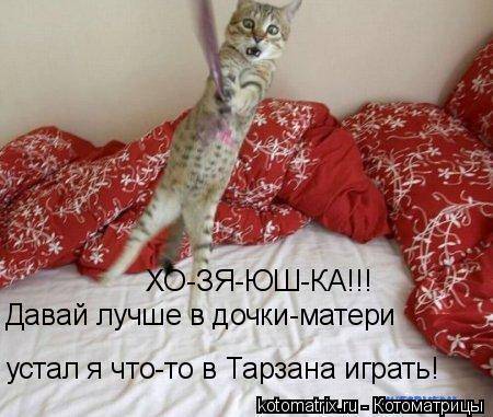 Лучшие котоматрицы… :)