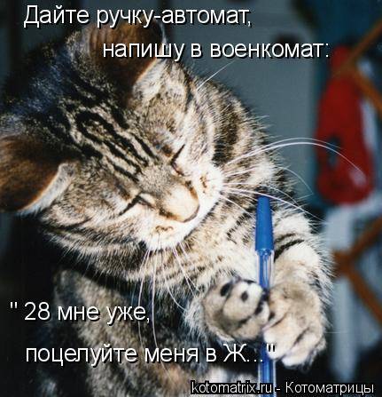 Лучшие котоматрицы… :)