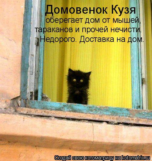 Лучшие котоматрицы… :)