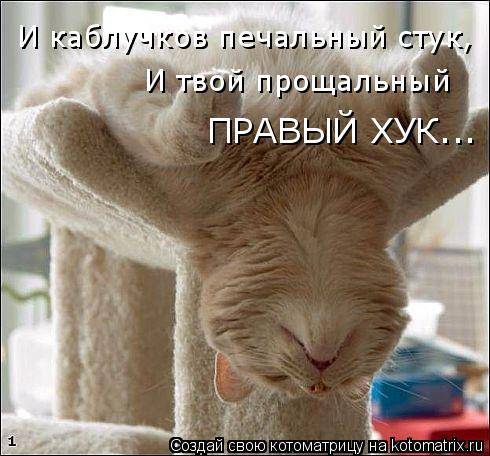 Лучшие котоматрицы… :)